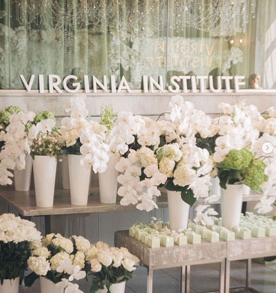 Virginia Institute